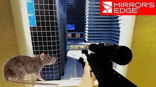 Mirror's Edge - GIANT RAT EASTER EGG