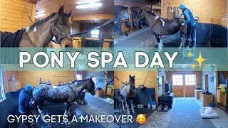 HORSE SPA DAY: Gypsy gets Groomed, Bathed, & Clipped!! | Daily Barn Routine &bull; Equestrian Vlog
