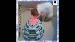 Cute Roller 3-Levels Kitty Toys, Lovely Kitten Turntable Toy, Adorable Interactive Teasing Cat Toy