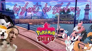 02 - Le short de Shehroz | POK&Eacute;MON BOUCLIER |