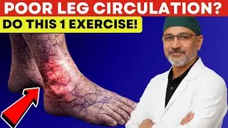 Surgeon REVEALS: Do THIS 1 Exercise for Poor Leg Circulation After 60 | Senior Health Tips.