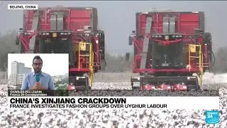 Forced labour in China’s Xinjiang • FRANCE 24 English