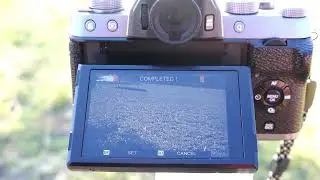White balance for infrared photography