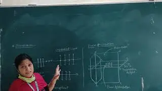 Physics FE- Polarization