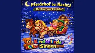 Pferdehof bei Nacht