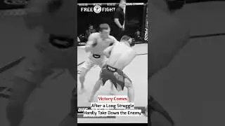 Hidden Victory #ufc #mma