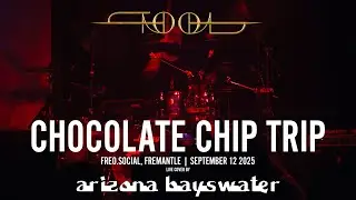 Arizona Bayswater - Chocolate Chip Trip [Live Tool Cover, 2025-09-12]