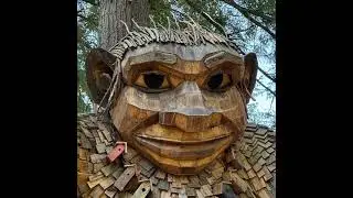 The Trolls of Washington