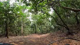 Part 05 - Singapore - T15 Mandai MTB Trail / Chestnut Nature Park MTB Trail