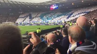 Union Bears Display