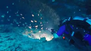 Diving Adventure at Makena Landing
