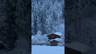 WINTER IN BAVARIA❄️⛄️🇩🇪 #deutschland #travel #winter #bavaria