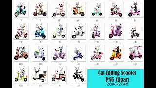 Cat Riding Scooter PNG Clipart -1 | Cute Kittne Riding Bike  PNG Images | Editing Material