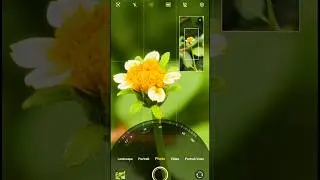 Vivo X300 pro photography Test Camera Testing is insane but Vivo X200 Pro Best for macro photography
