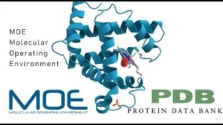 Introduction to MOE: Molecular Operating Environment and its Integration with PDB