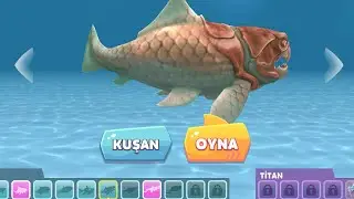 Hungry shark evolution kocababa