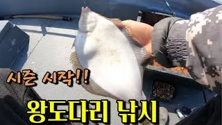 [실시간]  도다리 탐사!! (빅피싱)