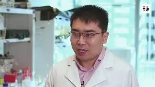 Dr Qilin Wang, finalist 2019 Macquarie Uni Eureka Prize for Outstanding Early Career Researcher