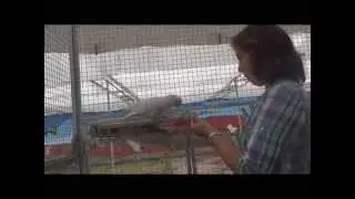 Highlights: Parrot Training Workshop The Netherlands