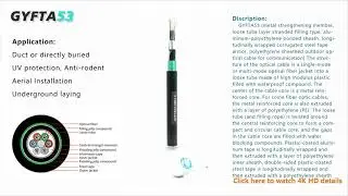 Anti-rodent Armored Outdoor Fiber Optic Cable GYFTA53