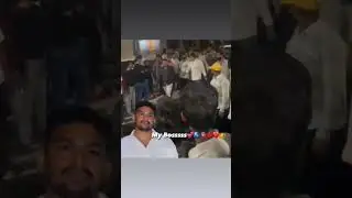 wilson garden Naganna # Wilson garden #naganna #banglore #shorts #youtubeshorts #youtube #rowdy