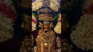 Vanna mayil Erum🦚kakkum vadivel #vaaheesan #murugan #ommuruga #vetrivel #seval #tamilkadavulmurugan