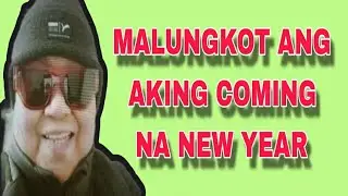 5 January 2026 ##Nakatakas Ang Mga Baboy Sa Downtown.. 🐖🐖🐖 