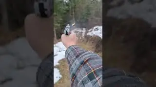 sig sauer p238