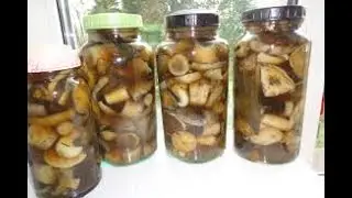 Как консервировать ЛЕСНЫЕ грибы?! Маринованные грибы