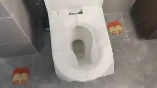 Recycled flushable toilet paper seat covers disposable toilet seat cover
