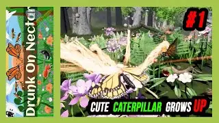 From caterpilar to female Monarch butterfly 🐛 Drunk on Nectar #1 🔬 The Virtual Biologist #001