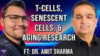 Longevity, Senescence Immunology, & Innovating with Dyslexia | Dr. Amit Sharma | 225