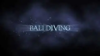 Bali Diving .the best place to dive at www.villa buddha.com