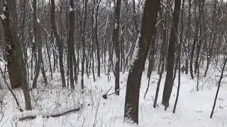Времена года