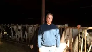 A healthy cow is a happy cow
