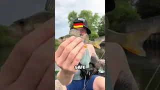 👆🏻klick hier! Junge ist der gro&szlig; 🎣 #angeln #fishing #anglerfish #comedyvideo
