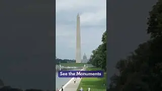 48 Hours in Washington DC with Kids - What to See & Do