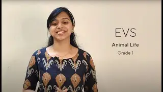 GRADE 1 II EVS II Unit 12 -  Animal Life