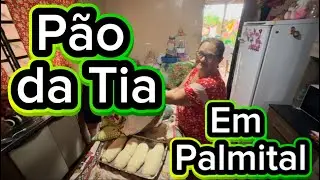 Palmital 2025 (conheça essa Cidade )