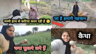 शाम को बहुत सारा काम करना पड़ता है l मम्मी हाथ से कटिया कतर है 🥹 मम्मी के हाथ है मशीन #familyvlog 