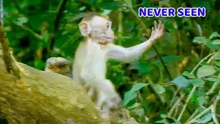 Hey everyone !!! What Elpida doing on tree alone, So long never seen baby Elpida do like this