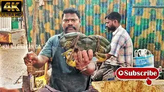 KASIMEDU 🔥 SPEED SELVAM | BIG CRAB 🦀 CUTTING | 4K VIDEO | IN KASIMEDU | KM MEENAVAN #fishcutting