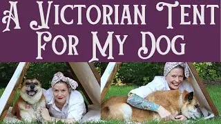 I Made My Dog a Victorian Camping Tent [CC]