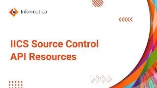 IICS Source Control API Resources