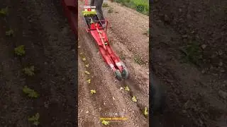 Vegetable Planting Machine