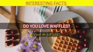 Facts about Waffle - English facts | CompleteBuzz 🧇