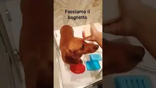 &Egrave; l'ora del bagnetto!