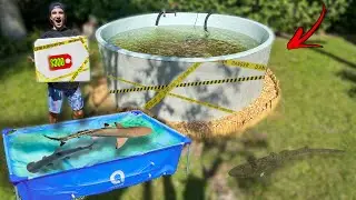 Спасаем АКУЛ И РЫБ ИЗ ЗАБРОШЕННОГО СОЛЕНОГО ПРУДА НА ЗАДНЕМ ДВОРЕ!!