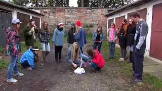 Kradnutie triednej knihy OALC IV.A