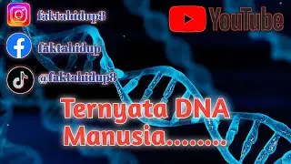 Fakta menarik tentang DNA manusia